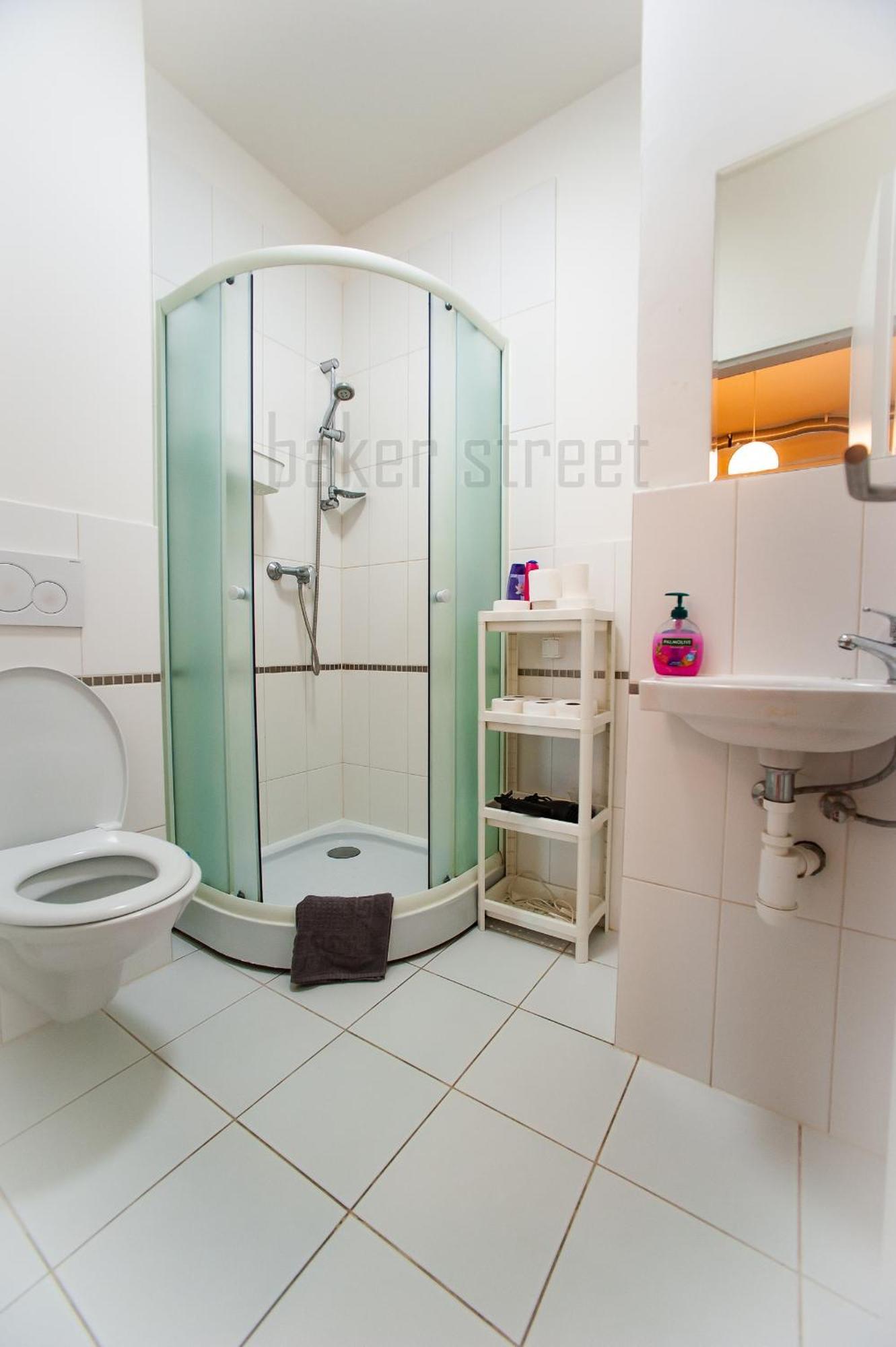 Apartament One Bedroom Close To Castle